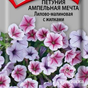 Семена Петуния ампельная Мечта Лилово-малиновая с жилками 5