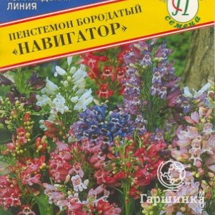 Семена Петуния амп.крцв. Лавина Пурпурная звезда F1 10 др, Престиж