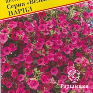 Семена Петуния амп.крцв. Вельвет Парпл F1 5 др, Престиж