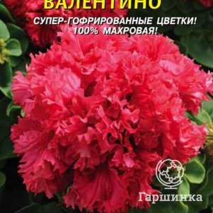 Семена Петуния F1 Валентино, 10драже в пробирке, Плазменные семена