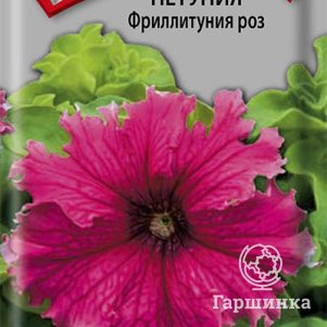 Семена Петуния Фриллитуния роз 10, Поиск