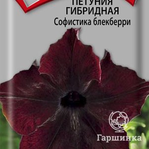 Семена Петуния гибридная Софистика Блекберри 5