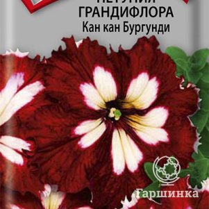 Семена Петуния грандифлора Кан кан бургунди 10