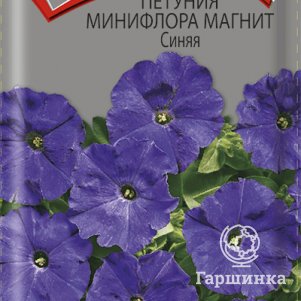 Семена Петуния минифлора Магнит Синяя 10