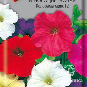 Семена Петуния многоцветковая Колорама микс F2 0,1