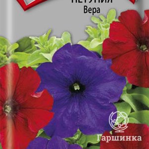 Семена Петуния Вера 0,1, Поиск