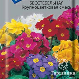 Семена Примула бесстебельная Крупноцветковая смесь 0,04