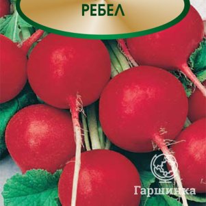 Семена Редис Ребел 2