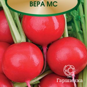 Семена Редис Вера МС 3