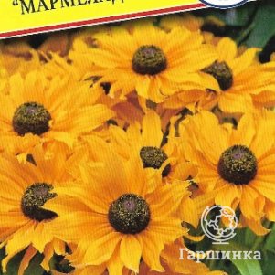 Семена Рудбекия мохнатая Мармелад 30 шт, Престиж