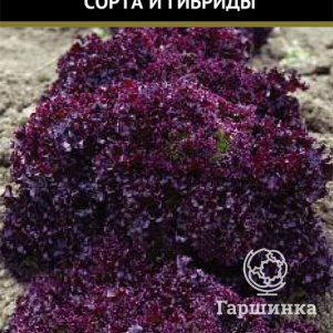 Семена Салат Гранатовые кружева (А) 1