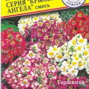 Семена Схизантус Крылья Ангела смесь 0,1 гр, Престиж