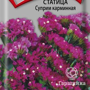 Семена Статица Суприм карминная 0,15