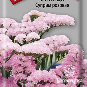 Семена Статица Суприм розовая 0,15