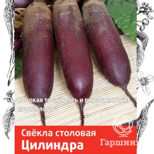 Семена Свекла столовая Цилиндра 3