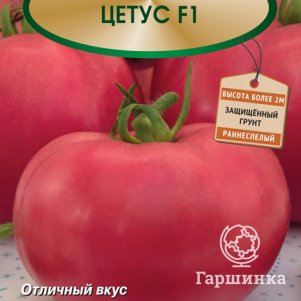 Семена Томат Цетус F1 5