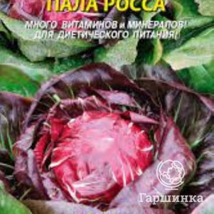 Семена Цикорий салатный Пала Росса, 0,2 гр, Плазменные семена