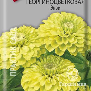 Семена Цинния георгиноцветковая Энви 0,4