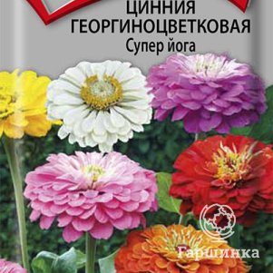 Семена Цинния георгиноцветковая Супер йога 0,4