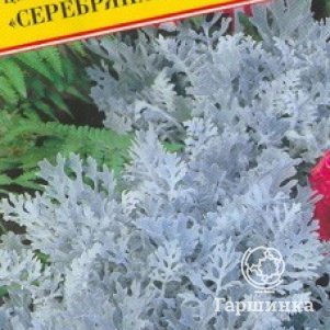 Семена Цинния изящная Пурпурный принц 20 шт, Престиж