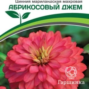 Семена Цинния махровая Барышня-крестьянка Абрикосовый Джем 5 шт. Партнер