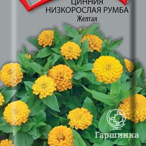 Семена Цинния низкорослая Румба Жёлтая 0,1