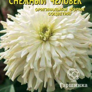 Семена Цинния супер-кактус Снежный человек, 0,25 гр, Плазменные семена