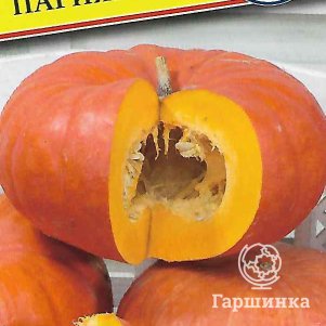 Семена Тыква Парижская (крупноплодная) 5 шт, Престиж