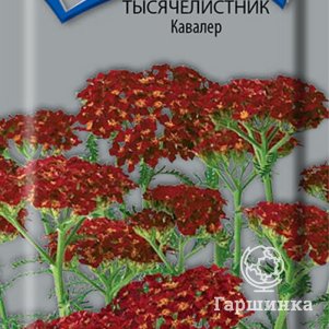 Семена Тысячелистник Кавалер 0,1