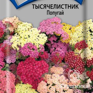 Семена Тысячелистник Попугай 10