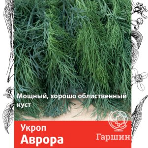 Семена Укроп Аврора 3