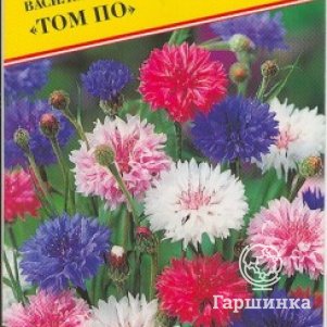 Семена Василек синий Том По 10 шт, Престиж