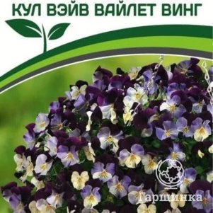 Семена Виола ампельная Кул Вэйв Вайлет Винг F1 (снова в продаже) 5 шт. Партнер