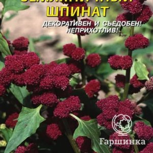 Семена Земляничный Шпинат, 0,05 гр, Плазменные семена