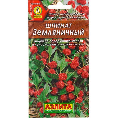 Шпинат Земляничный Аэлита