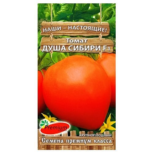 Томат Душа Сибири F1 Premium Seeds