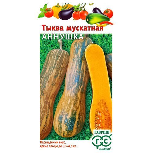 Тыква мускатная Аннушка Гавриш