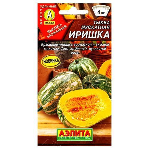 Тыква мускатная Иришка Аэлита