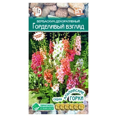 Вербаскум Горделивый взгляд, смесь окрасок Евросемена