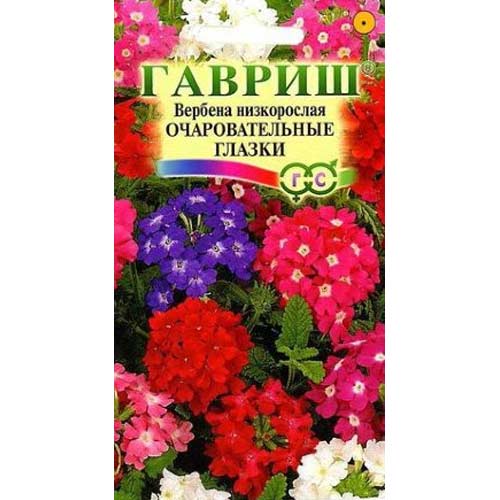 Вербена Очаровательные глазки, смесь окрасок Гавриш