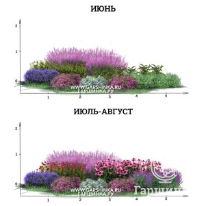 Яркий цветник из многолетников