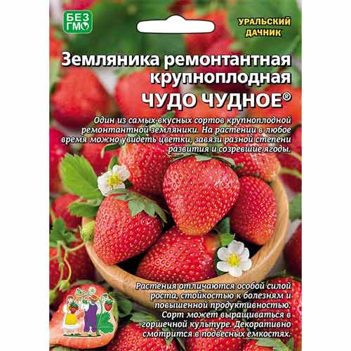 Земляника ремонтантная крупноплодная Чудо чудное Уральский дачник