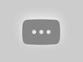 КУСТ ГОДЖИ из ягоды за 5 простых шагов #shorts