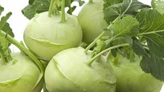 25.Как вырастить капусту кольраби. Сорта и полезные советы.