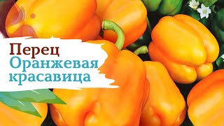 Перец Оранжевая Красавица