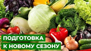 Что сажать в марте 2022 на рассаду? Еще не поздно!