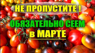 ОБЯЗАТЕЛЬНО СЕЕМ В МАРТЕ НА РАССАДУ ЭТИ ОВОЩИ И ЦВЕТЫ