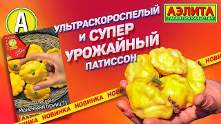 Патиссон Маленький принц F1 - ЛУЧШИЙ для консервации! ВЫРАЩИВАНИЕ в открытом грунте