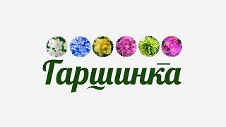 Гаршинка.  Тур по садам. Партнерский проект. Часть 1