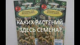 ДЕКОРАТИВНЫЕ ЗЛАКИ.СМЕСЬ.КАК ЛУЧШЕ ПОСЕЯТЬ.